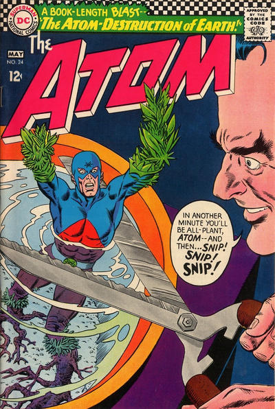 Atom 24