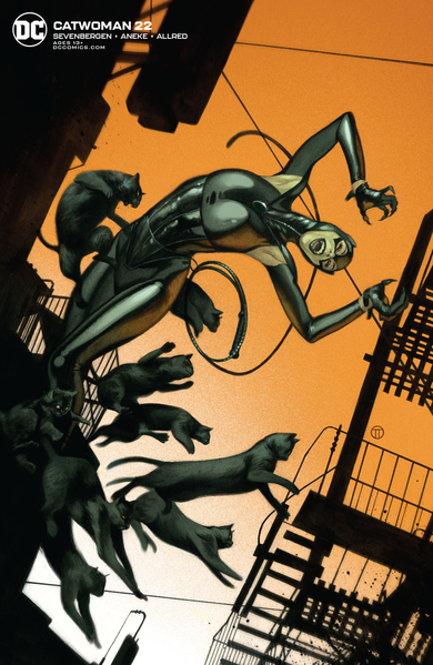 File:Catwoman Vol. 5 22 (Cover B).png